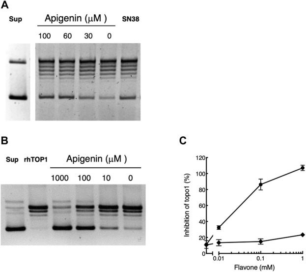 FIGURE 4