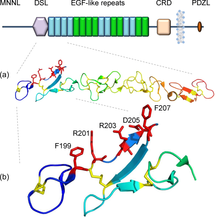 Fig. 4