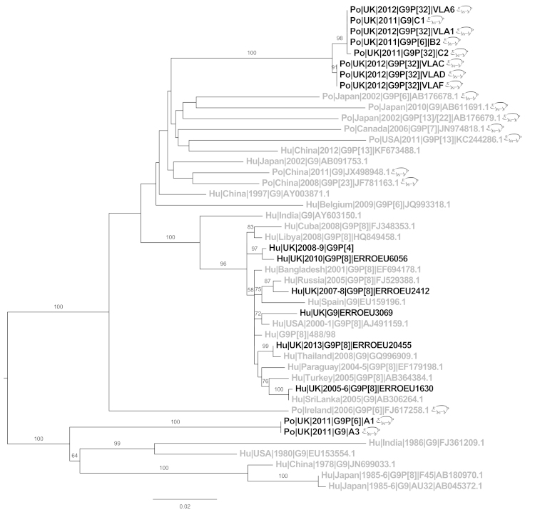 Fig. 6