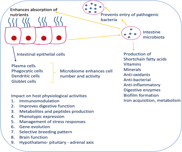 Fig 2