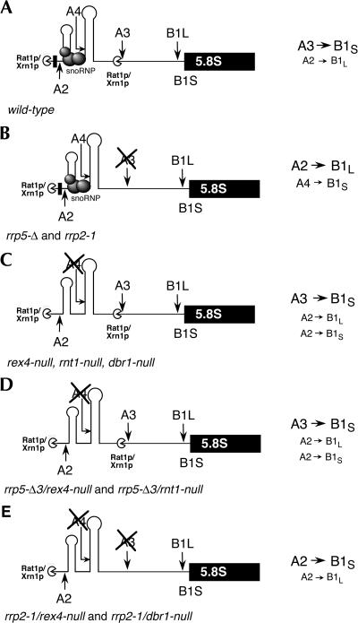 FIGURE 9.