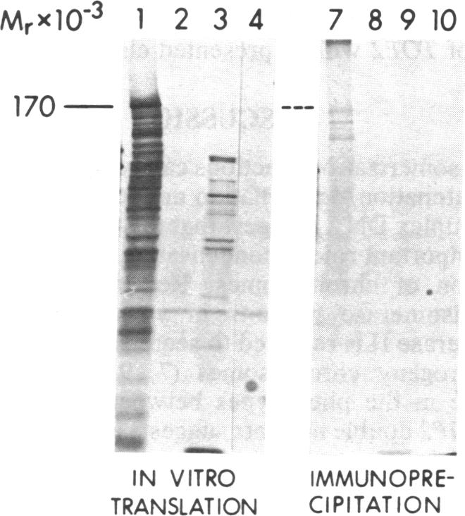 graphic file with name pnas00315-0108-a.jpg