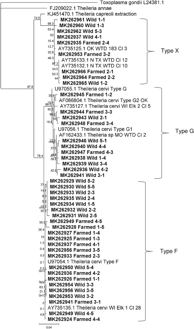 Fig. 3