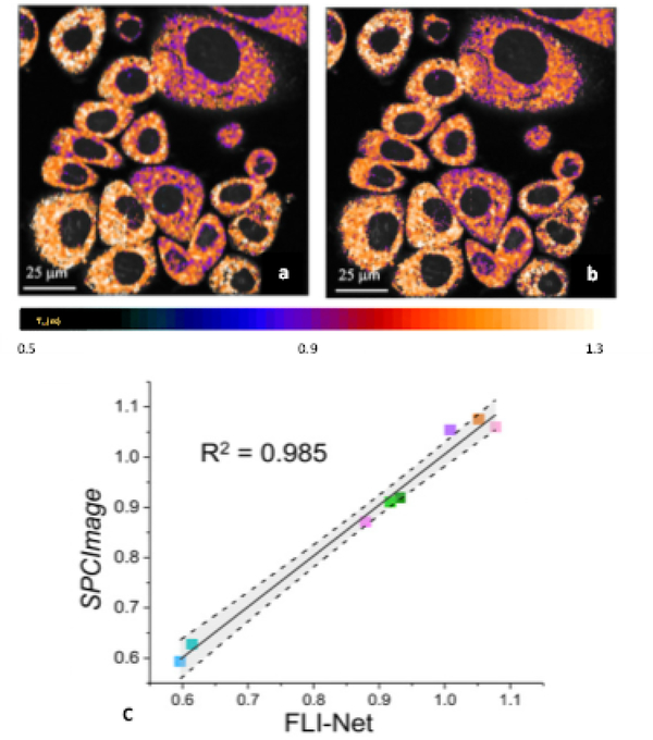 Fig 5: