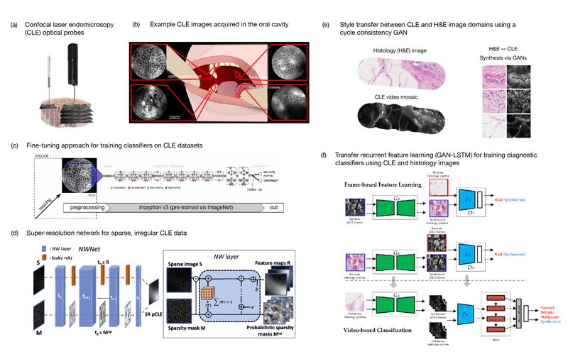 Fig 6: