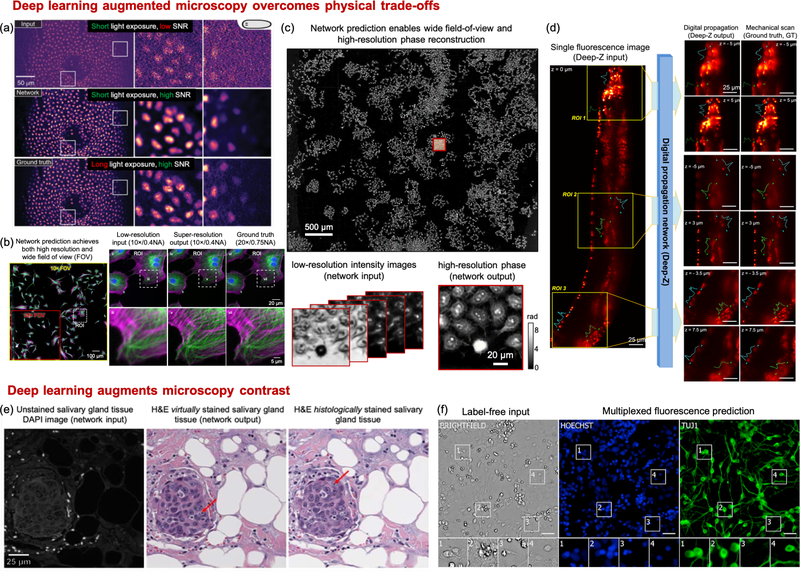 Fig 4: