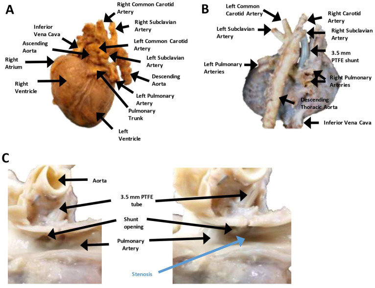 Figure 3.