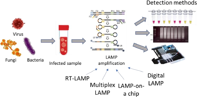 Image, graphical abstract