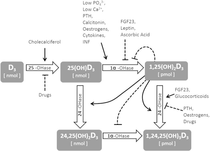 Fig. 1