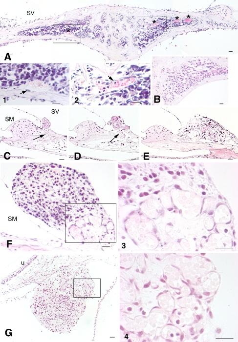 FIG. 6