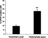 Fig. 10