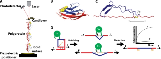 FIGURE 1.