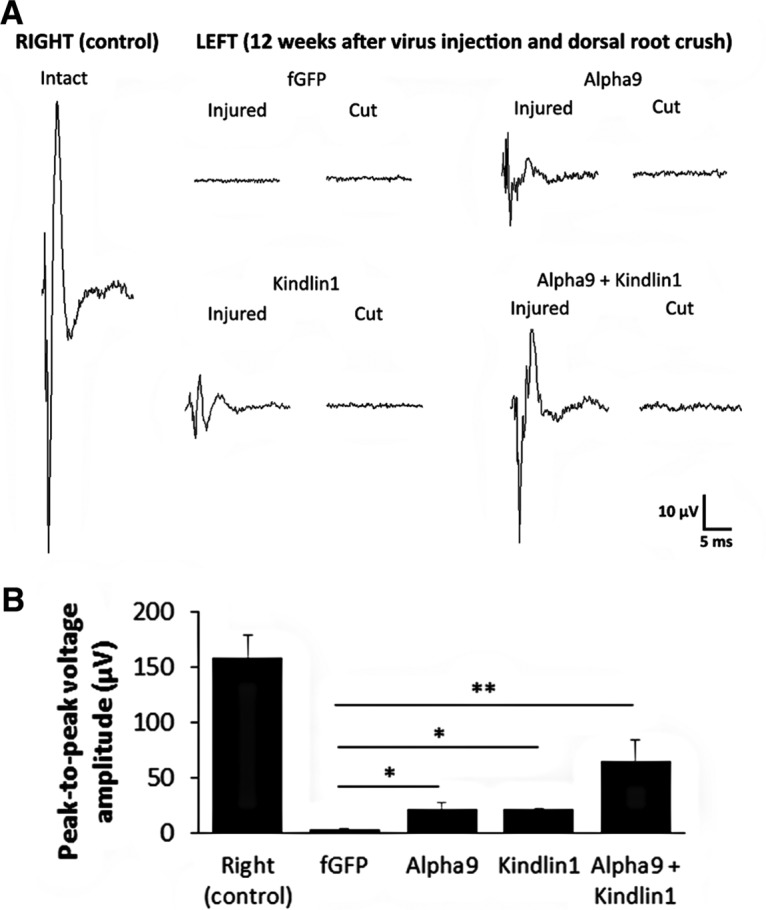 Figure 10.