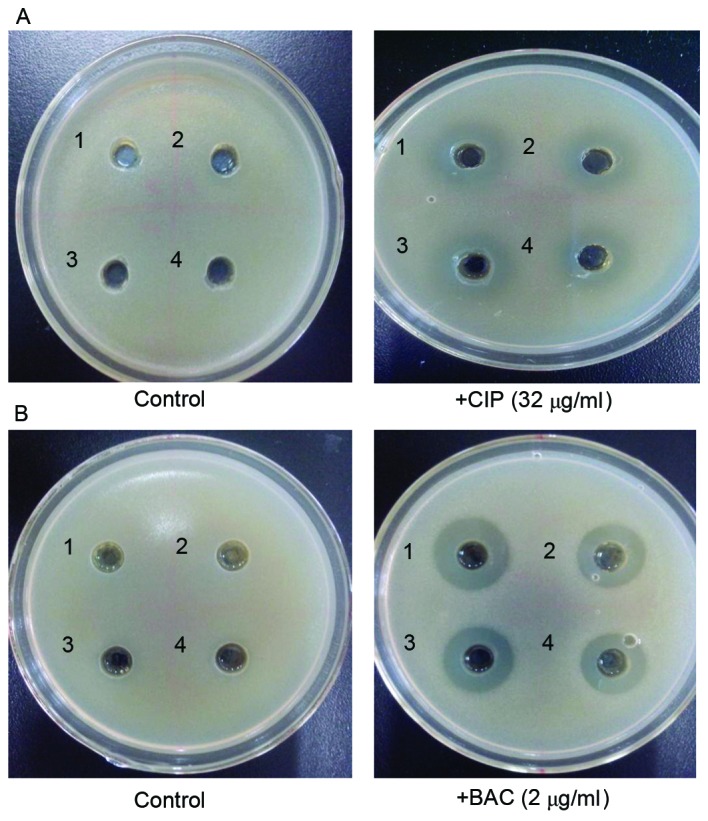 Figure 5.