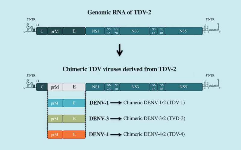 Figure 3.