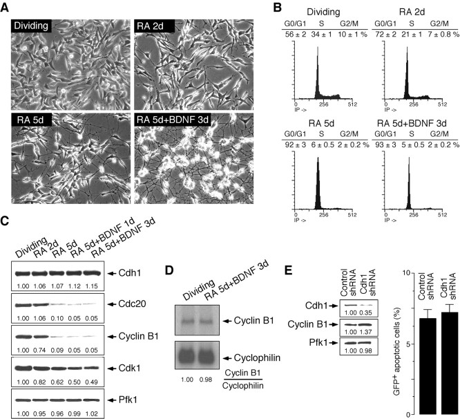  Figure 3. 