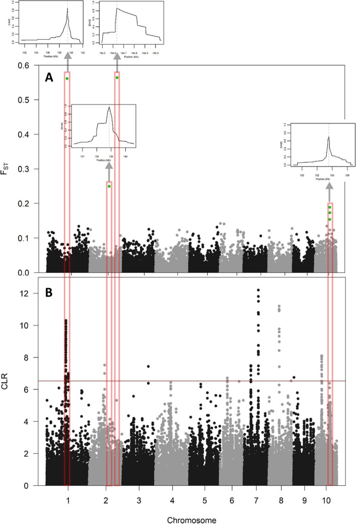 Fig. 4