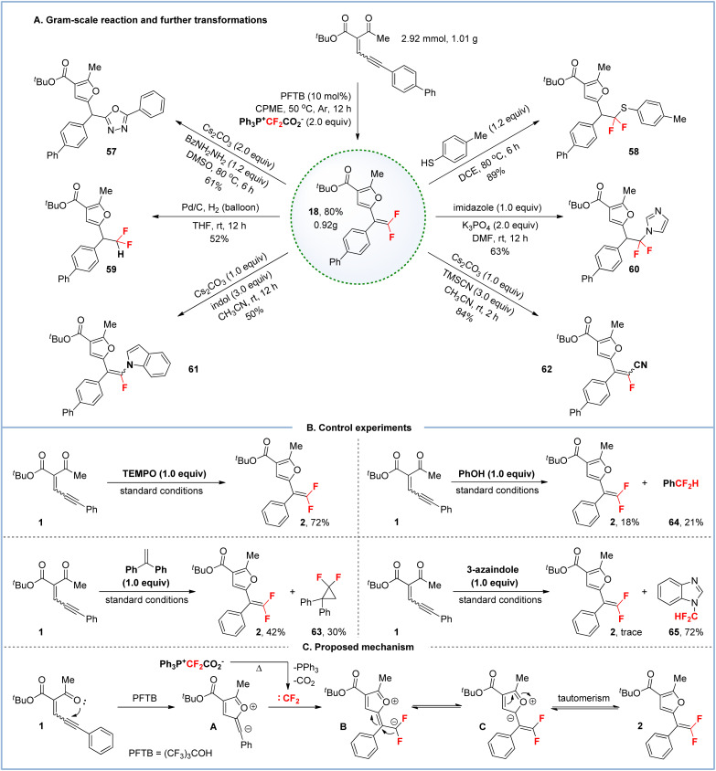 Scheme 4