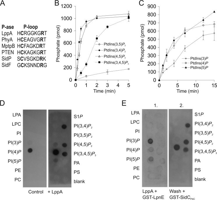 FIGURE 2.