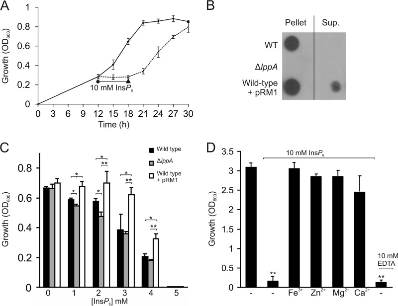 FIGURE 5.