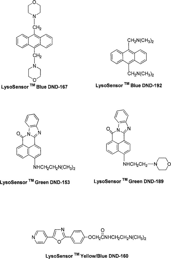 FIG. 1.