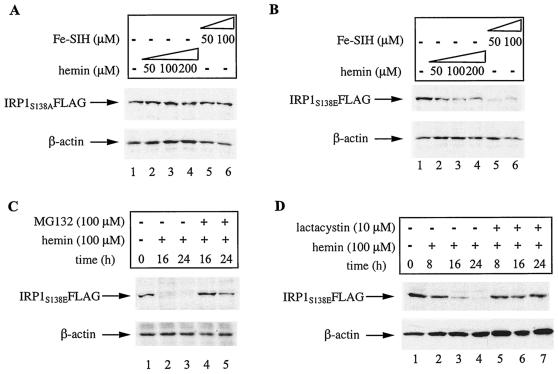 FIG. 6.