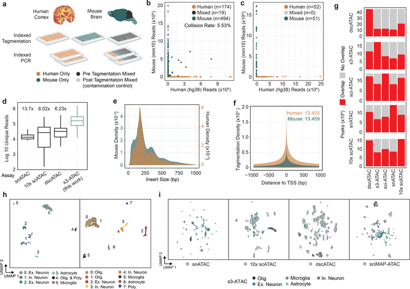 Figure 2 |