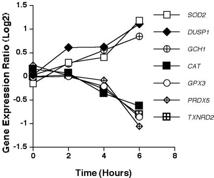 FIG. 7.