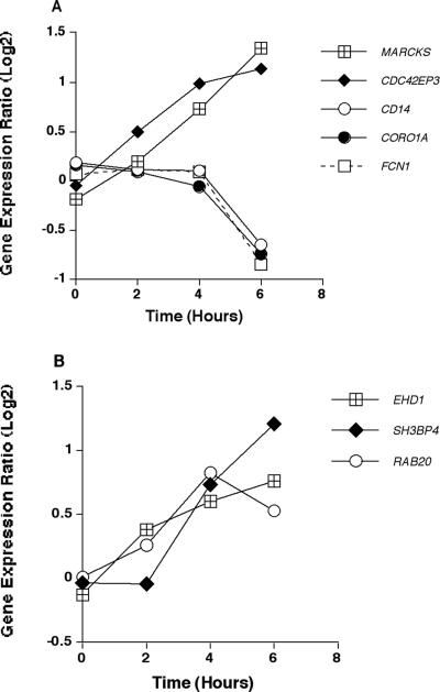 FIG. 3.