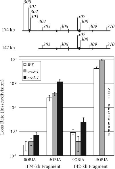 FIG. 6.