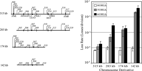 FIG. 2.