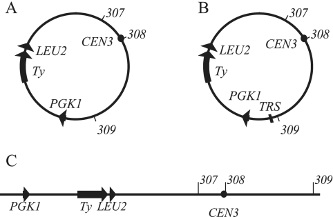 FIG. 5.