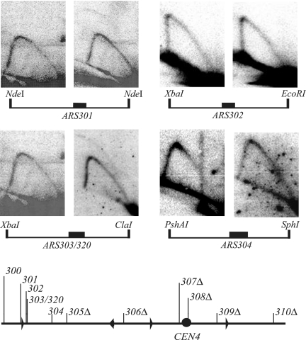 FIG. 3.