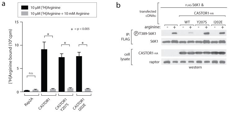 Extended Data Figure 2