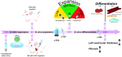 Graphical Abstract