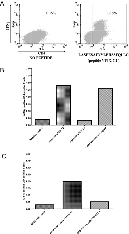 FIG. 2.