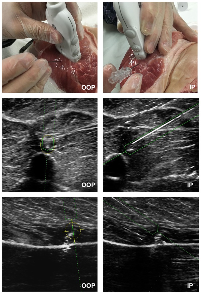 FIGURE 3