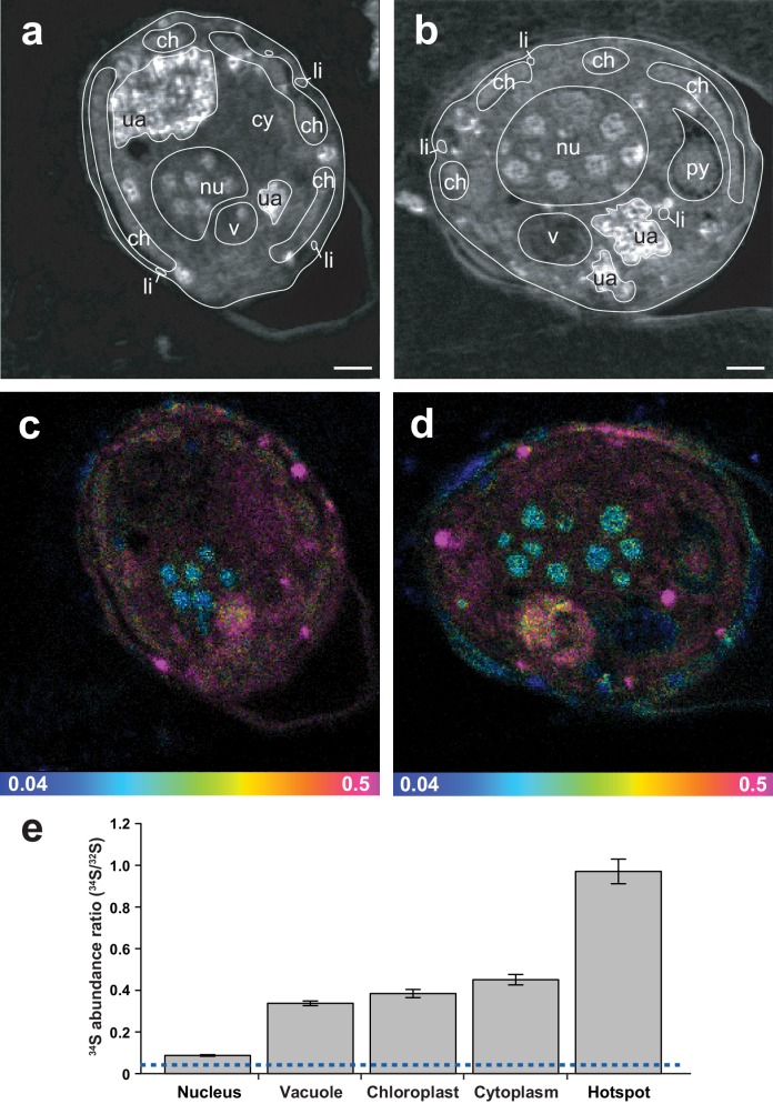 Figure 3.