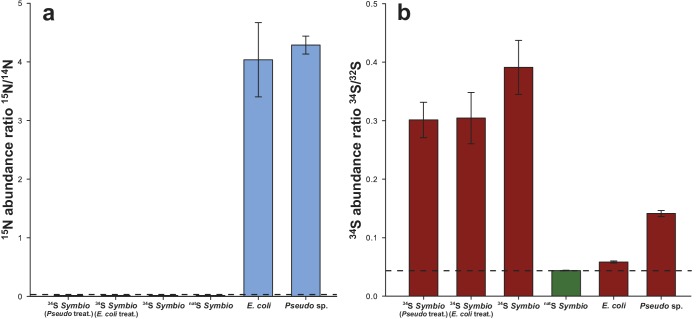 Figure 4—figure supplement 1.