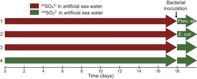 Figure 1—figure supplement 1.