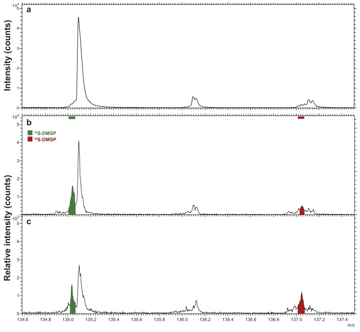 Figure 2—figure supplement 1.