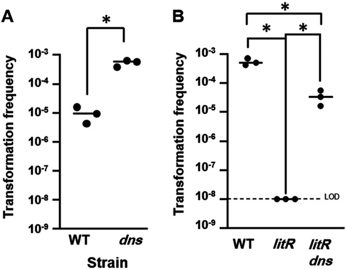 FIG 6