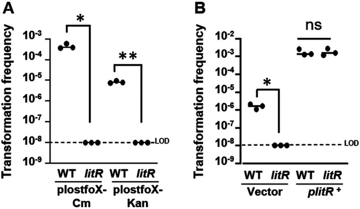 FIG 2