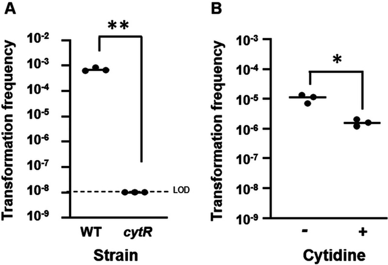 FIG 4