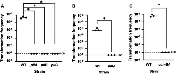 FIG 3