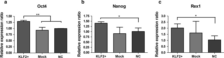 Fig. 4