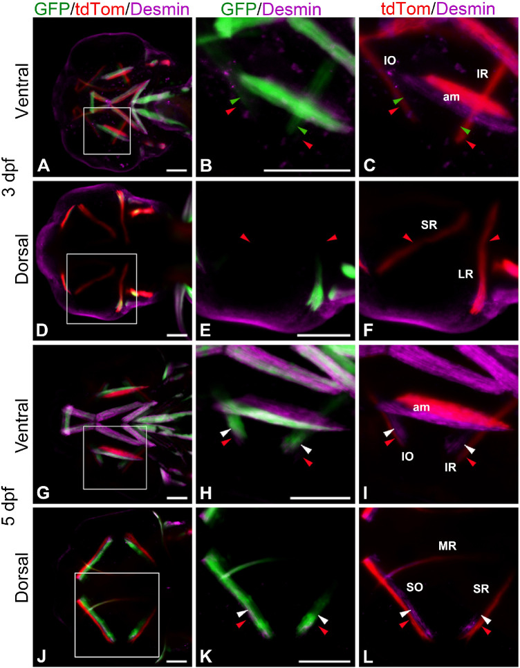 Figure 4.