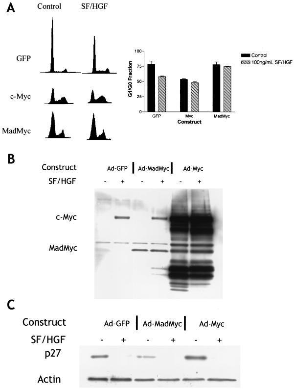 FIG. 10.