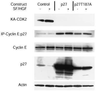 FIG. 7.