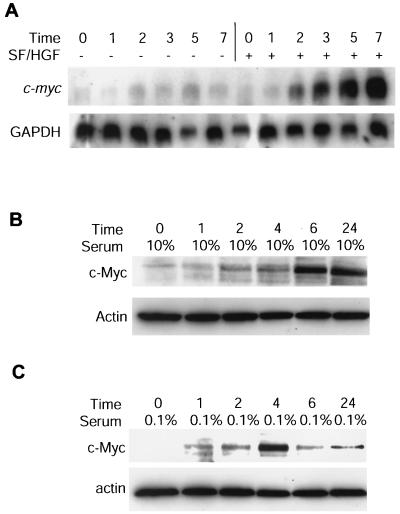 FIG. 9.